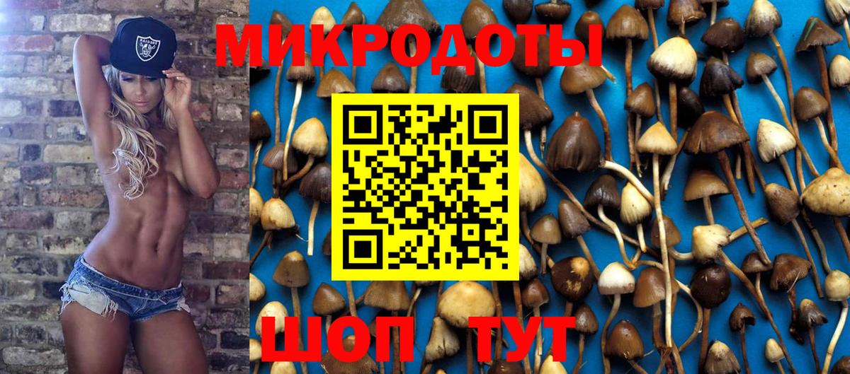 Псилоцибиновые грибы Psilocybe  Вход с VPN  Холмск 